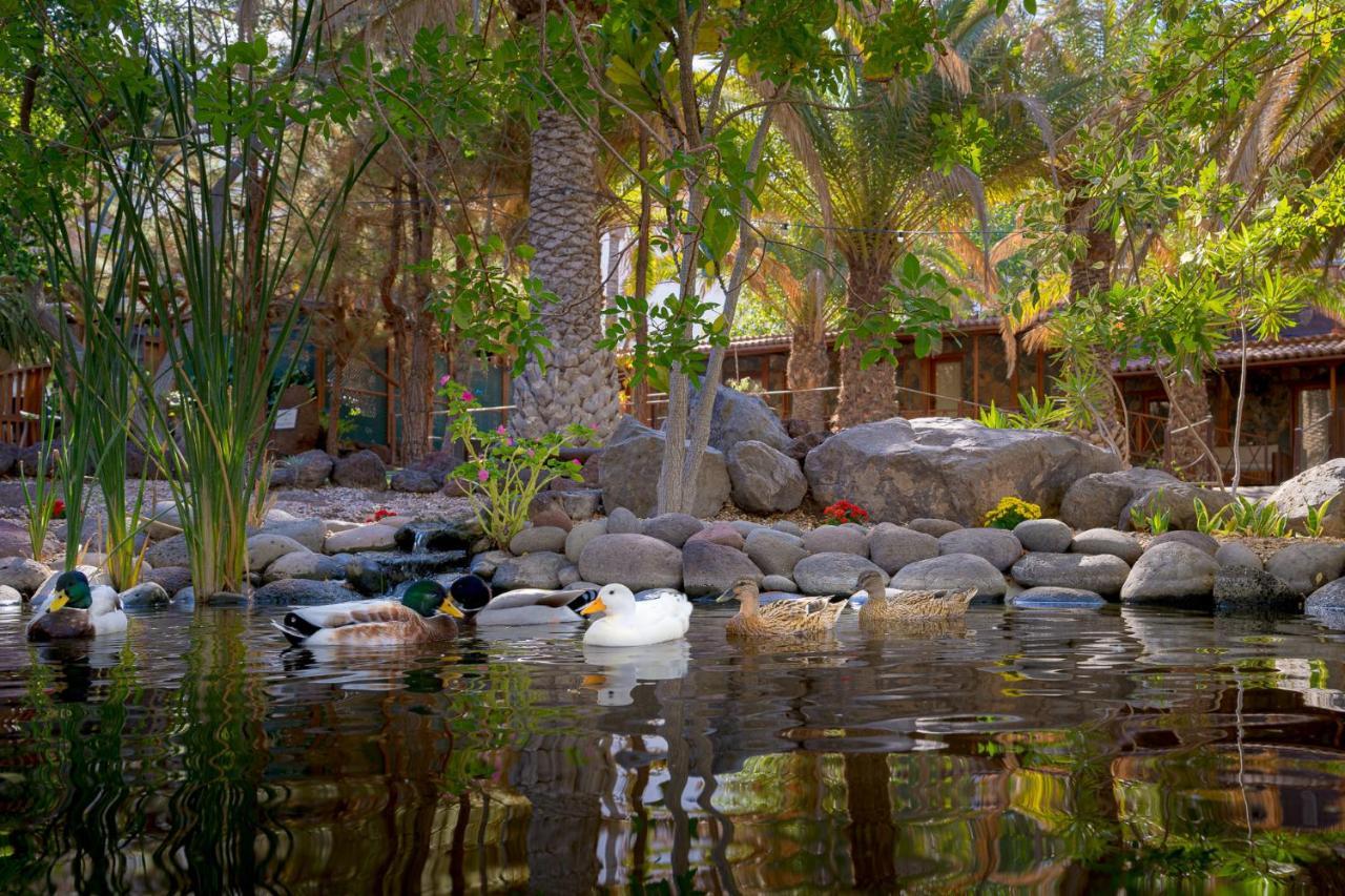 Redondo De Guayedra Guest House Exterior foto