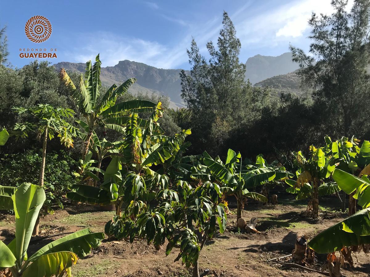 Redondo De Guayedra Guest House Exterior foto